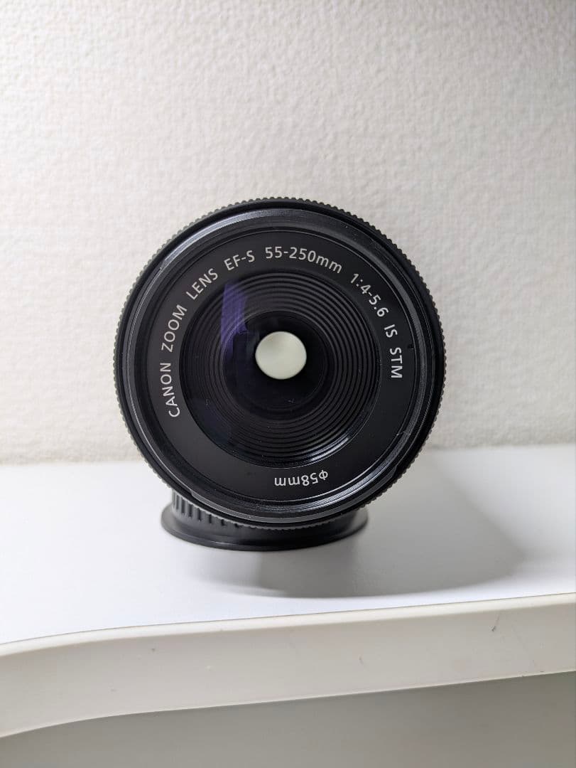 Canon EF-S55-250mm F4-5.6 IS STM (ノボル様)