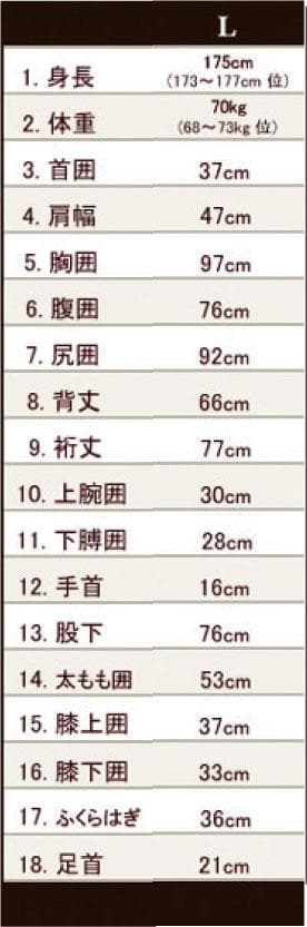 国内生産/ALL3mフルスーツ/クラッシックウェットスーツ/メンズLサイズ