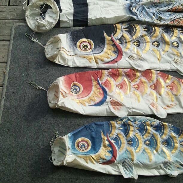 鯉のぼり ベランダ用