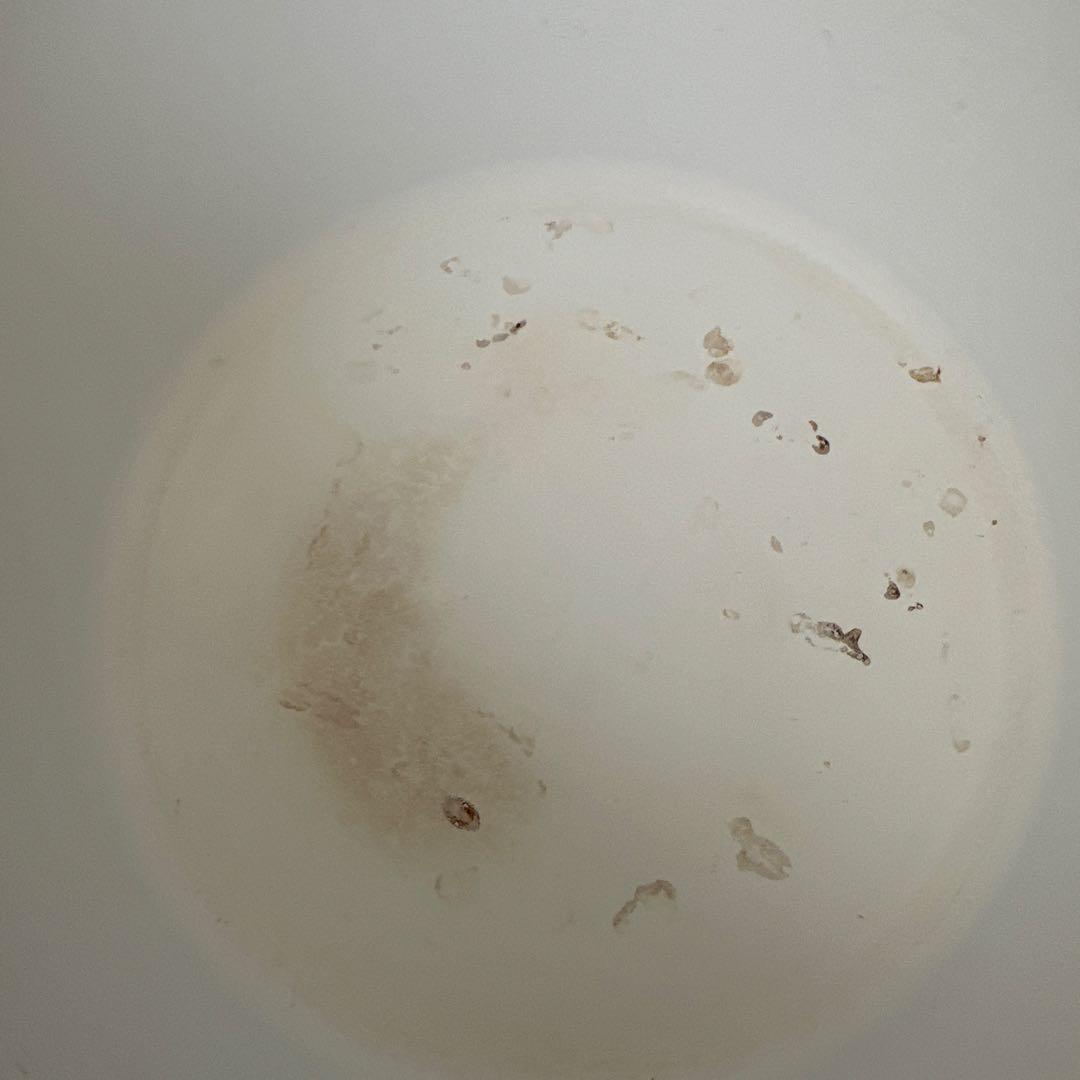 キャサリンホルム ロータス オリーブグリーン ホーロー ミルクパン