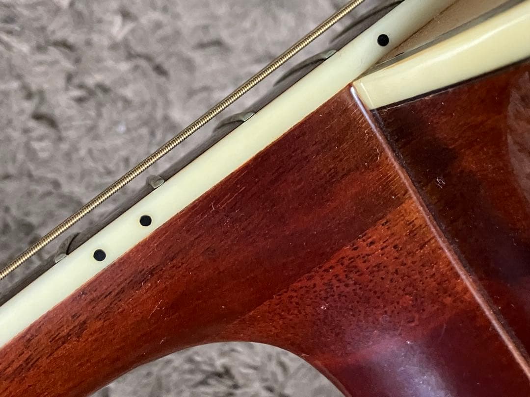 Morris MD-520 アコースティックギター アコギ ナチュラル モーリス