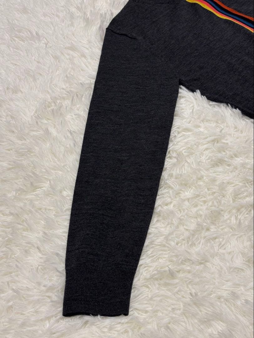 ポールスミス　アーティストストライプ　ジップ　ニット　チャコール　Mサイズ