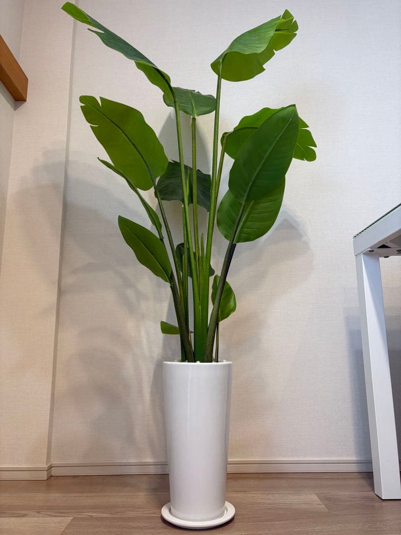 【美品】ストレリチア スリムプランター プリマ 観葉植物 フェイクグリーン