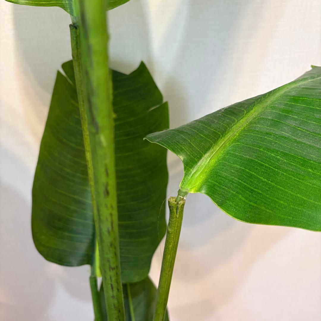 【美品】ストレリチア スリムプランター プリマ 観葉植物 フェイクグリーン