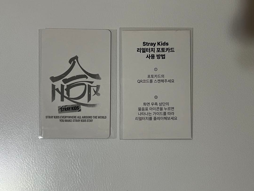 Stray Kids スキズ リノ リアルタッチ real touch