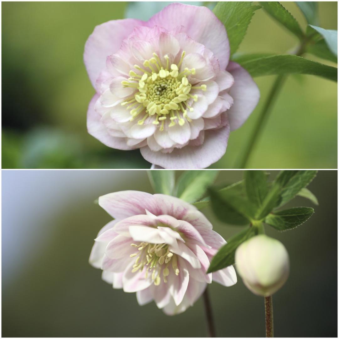 トックン様 リクエスト 3点 まとめ商品