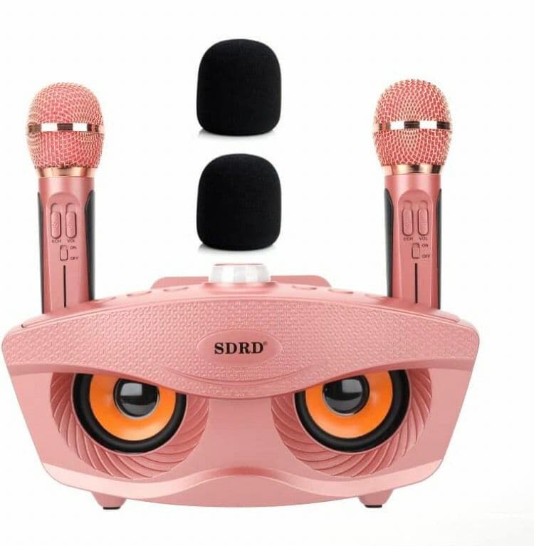 齋藤舞　カラオケ マイク  ワイヤレス マイク 2本 無線 接続