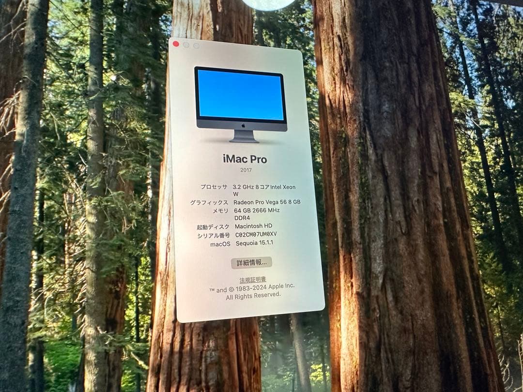 S*5様 Apple iMac Pro スペースグレーストレージ2TB メモリー