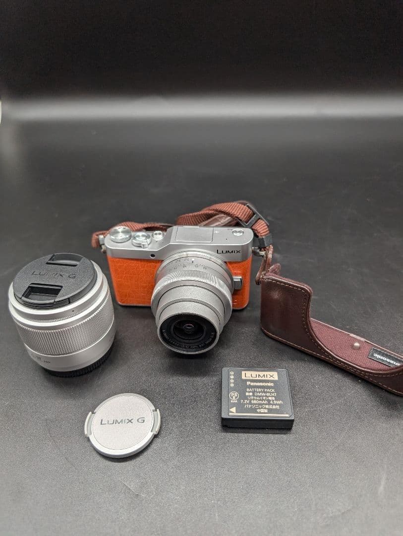 Panasonic LUMIX G ミラーレス一眼カメラ DC-GF9