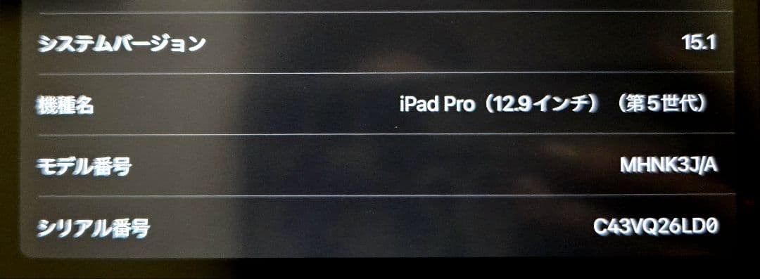 iPad Pro 12.9 第5世代 512GB Apple Pencil