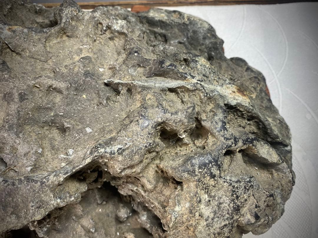 6638 春日石 粕川麒麟石 溜まり石 水石 盆栽 盆石 置物 鑑賞石