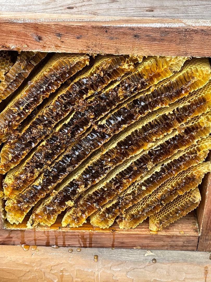 日本蜜蜂重箱式巣箱ハニーズハウス！超訳あり特価！二セット！送料無料！