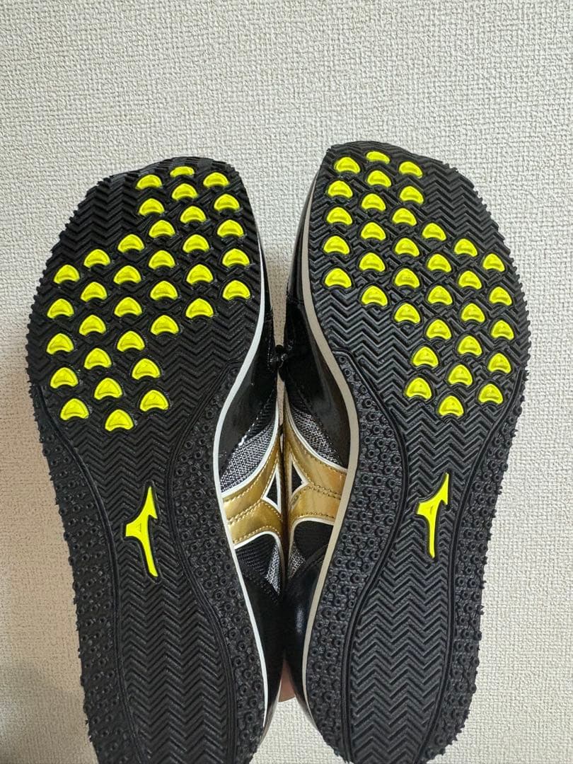 レーシングスター25センチ　Step限定カラー