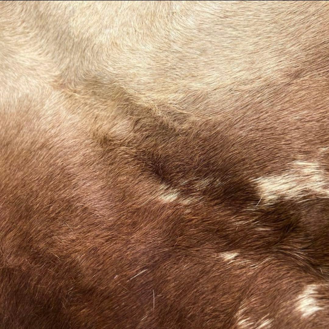 【入手困難】特大250×230牛革ハラコラグ★グランピングお籠もりキャンプにも！