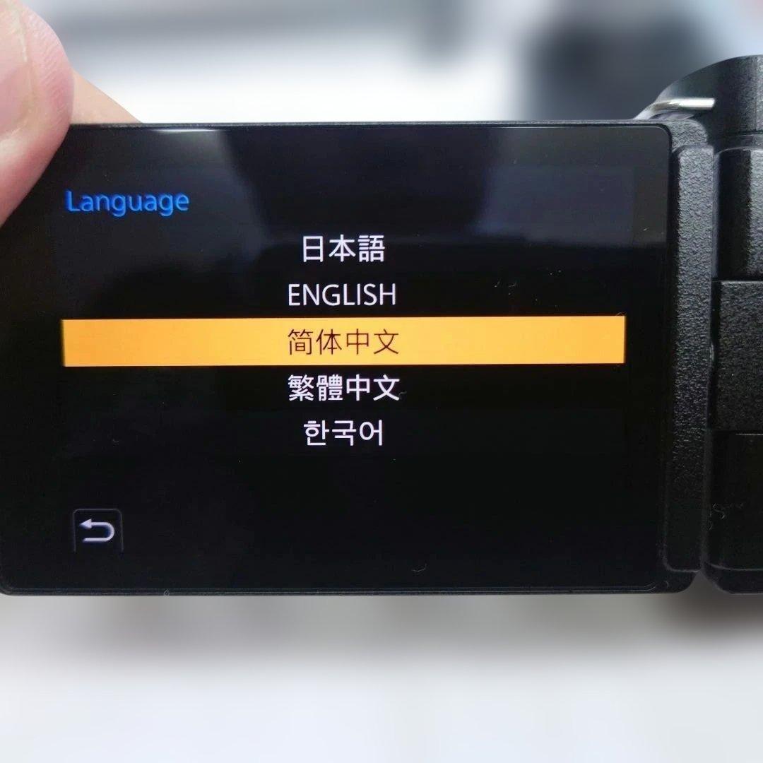 パナソニック LUMIX DC-G100 ミラーレス 一眼カメラ 充電器付き