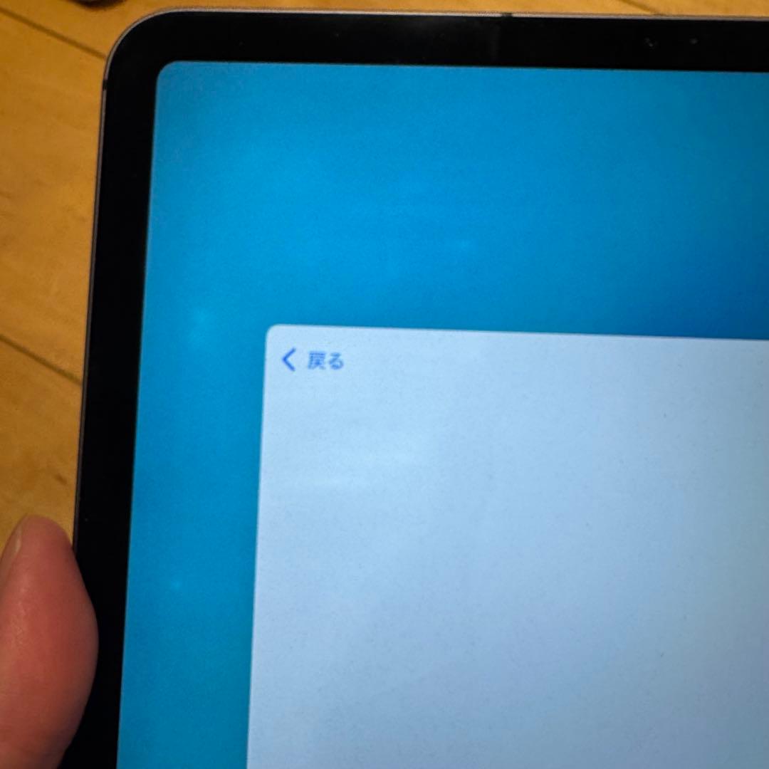 水没&画面不具合 iPad Pro 11インチ第1世代 256GBスペースグレー