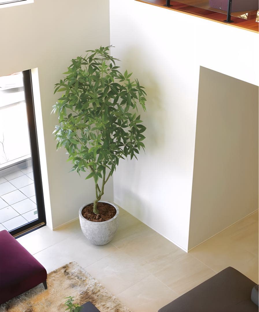 光触媒　人工観葉植物　フェイクグリーン　ナチュラルパキラ2.5