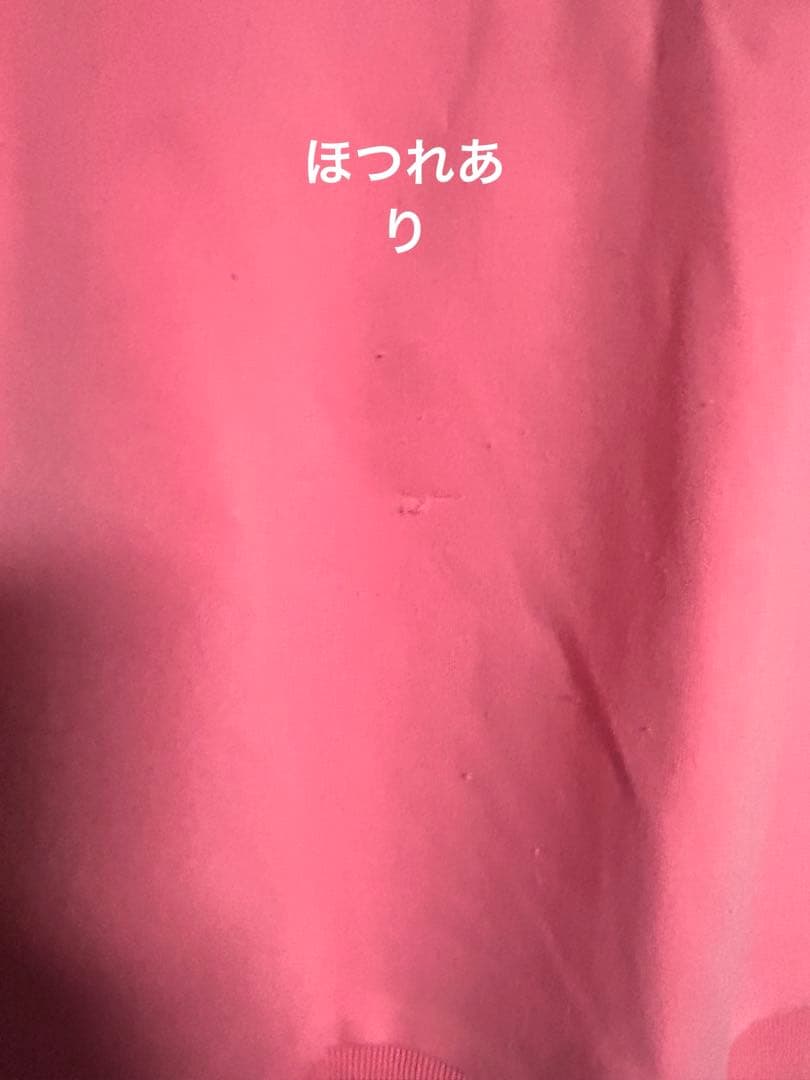 にじさんじ 赤城ウェン コスプレ衣装　ウィッグ付き