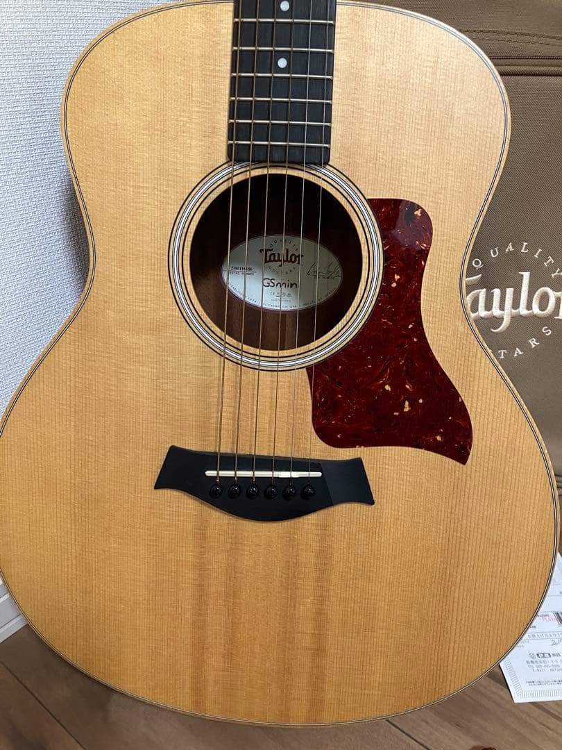 Taylor GSmini アコースティックギター　付属品多数！