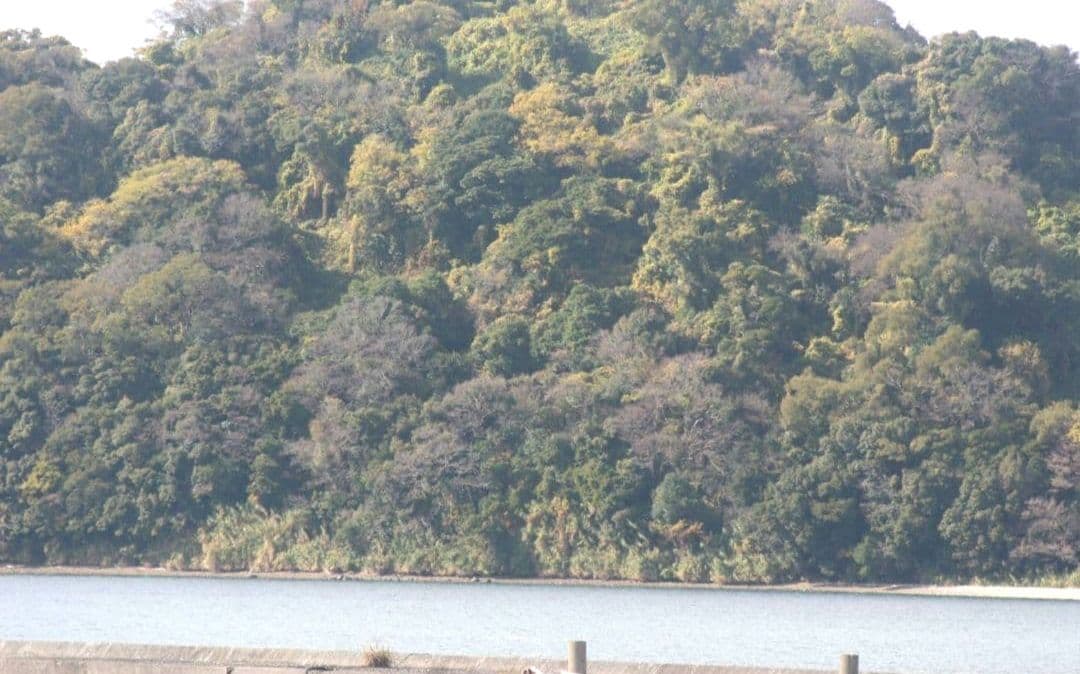 CANON　EOS　20D ダブルレンズ　一眼レフ⚡️キャノン⚡️望遠　初心者