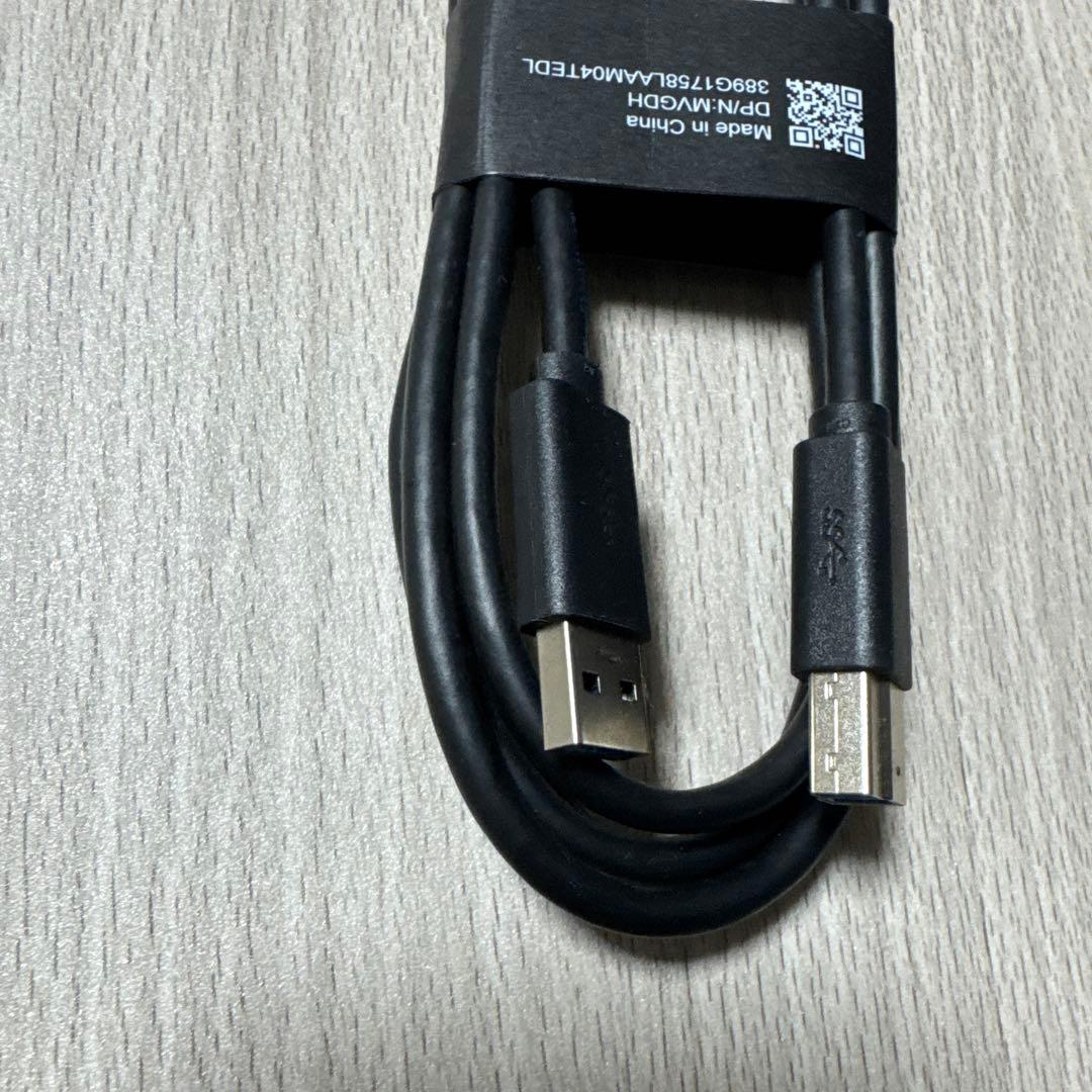 【ウサギ】Dell 曲面 ゲーミングモニター 【31.5インチ】