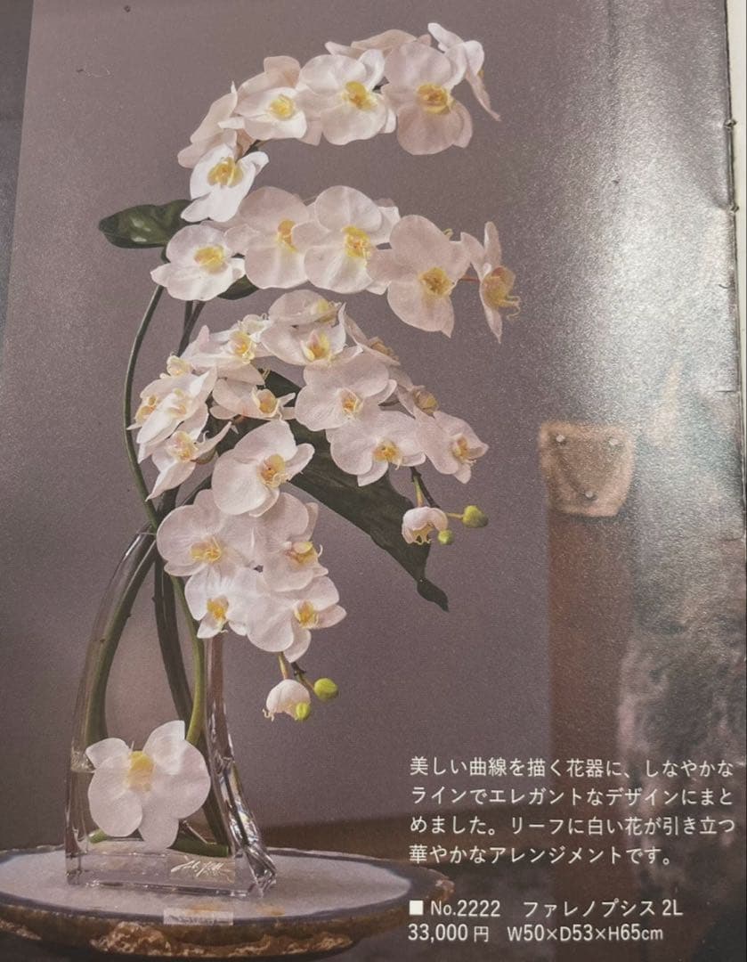 Aエミリオロバ ファレノプシス2L 胡蝶蘭 花 白フラワーアレンジメント