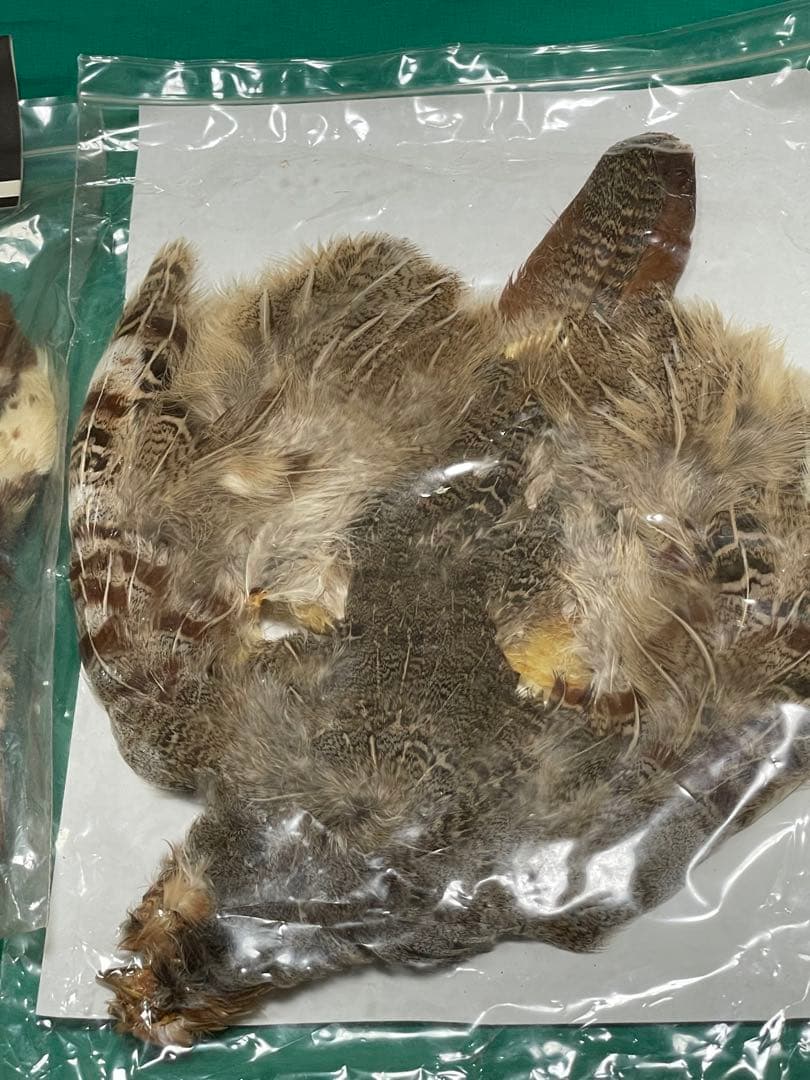 フライフィッシング　フライタイイング　マテリアル　ニンフやウェットフライ用セット