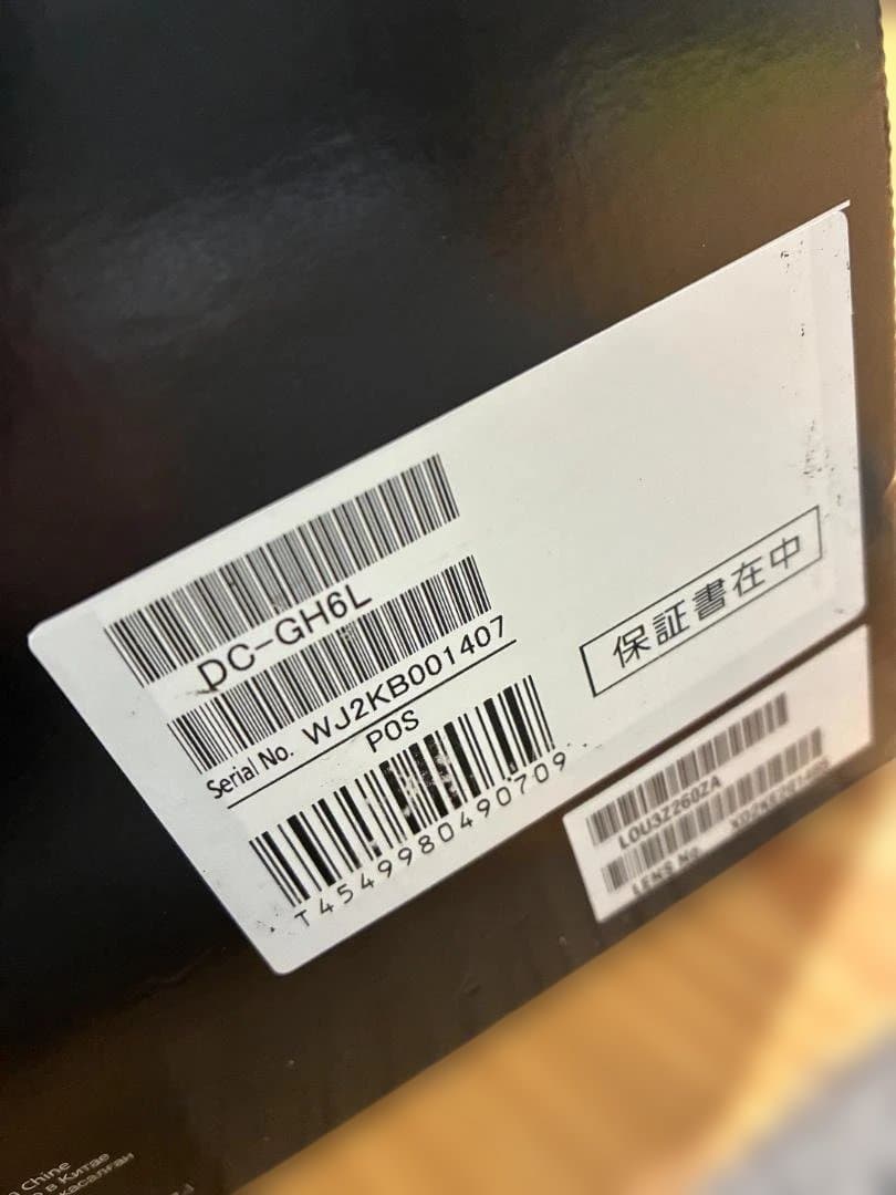 LUMIX DC-GH6L パナソニック 標準ズームレンズキット