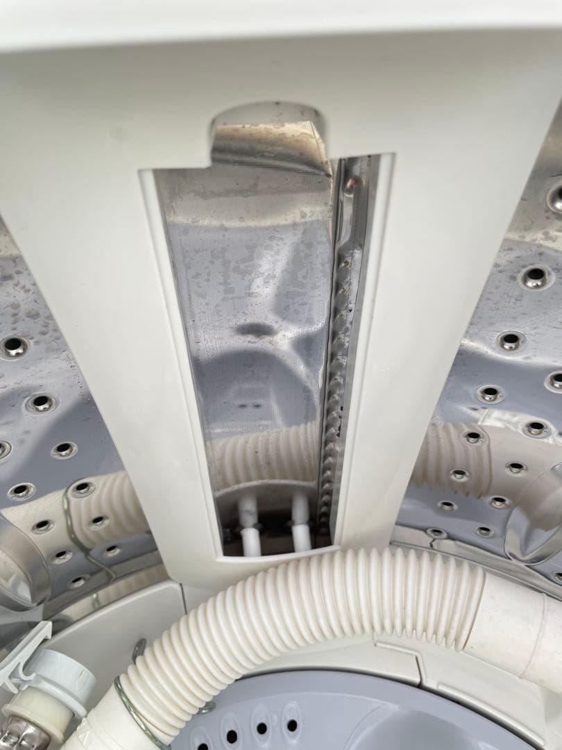 864 シャープ 5.5kg洗濯機 コンパクト 高濃度洗浄 一人暮らし 単身