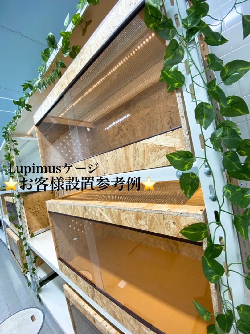 爬虫類ケージ　爬虫類飼育ゲージ　天井金網仕様　90ラック用サイズ