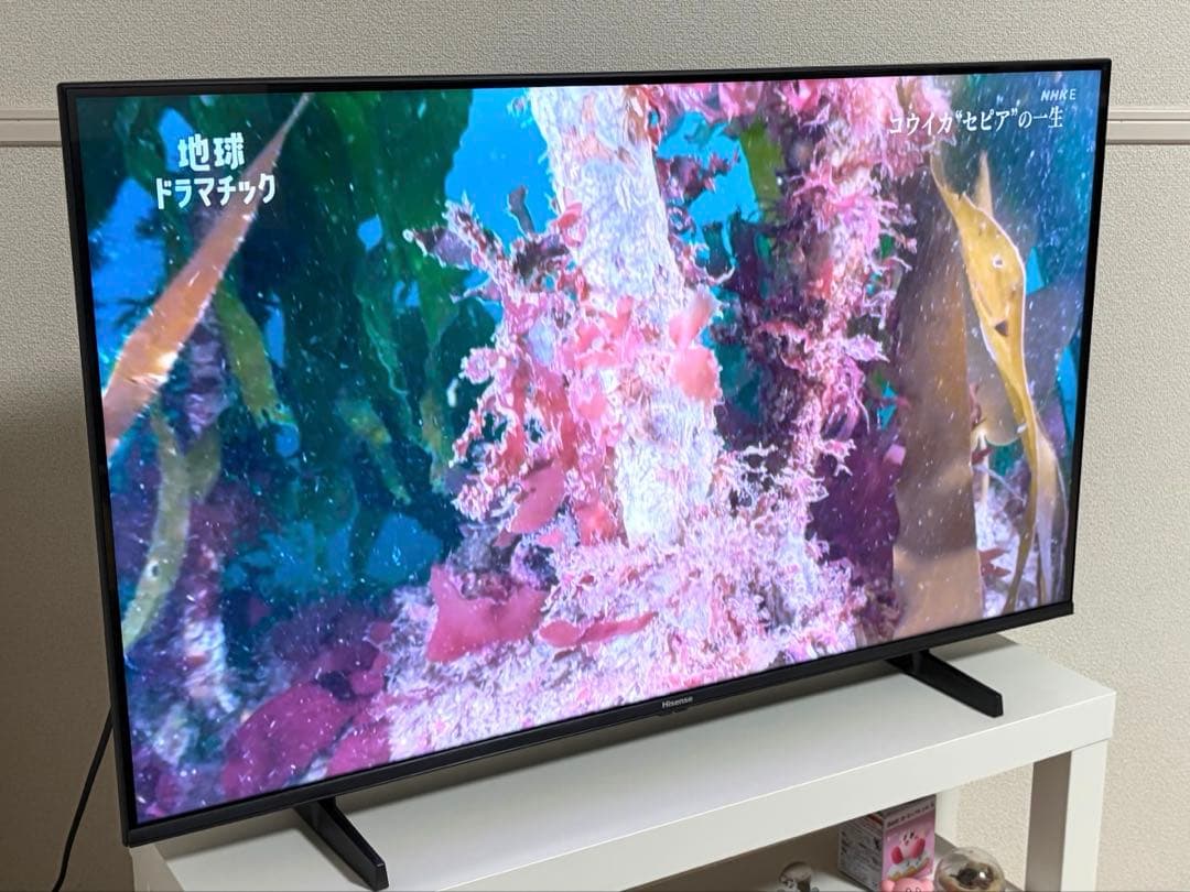 ハイセンス 液晶テレビ 43V型 4Kチューナー内蔵 43U7N