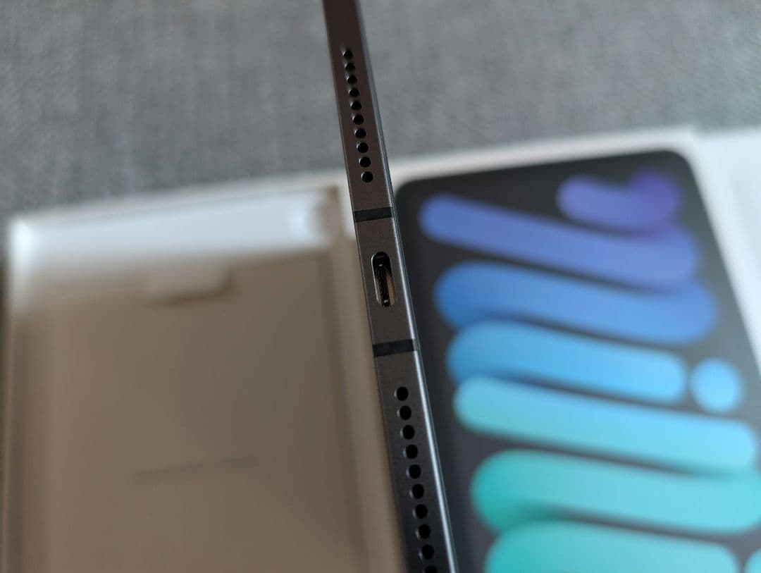 100% 超美品 iPad mini 6 WiFi + セルラー 256GB