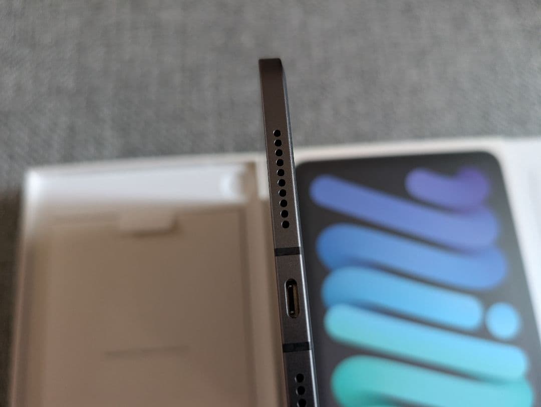 100% 超美品 iPad mini 6 WiFi + セルラー 256GB