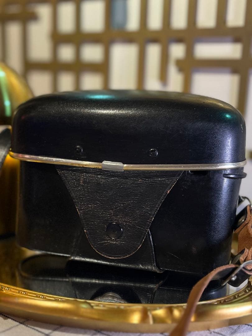 ZEISS IKON icarex 35S ＋Tessar50/2.8＋革ケース