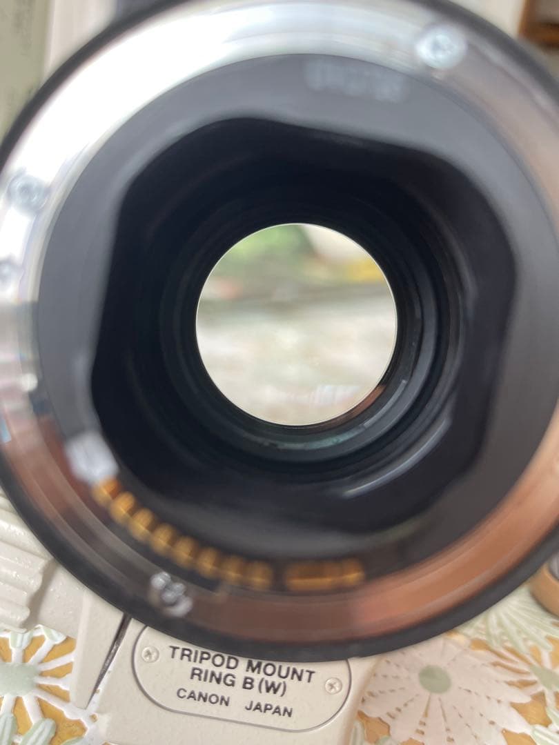 Canon EF 70-200mm f/2.8L IS USM ズームレンズ