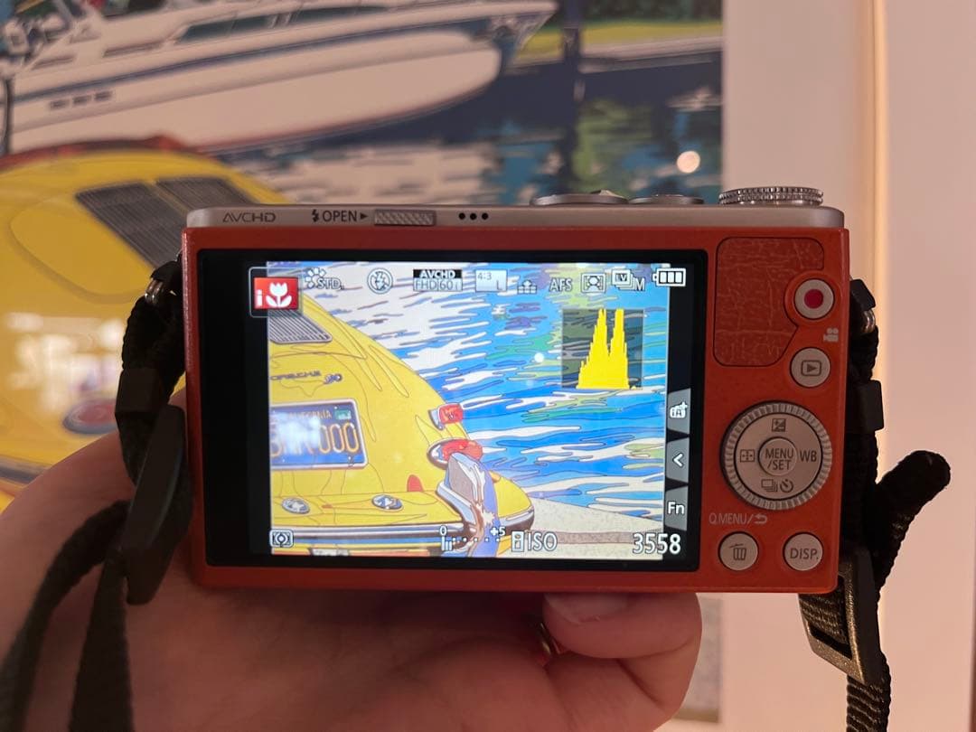 パナソニック LUMIX GM1 DMC-GM1 ミラーレス一眼レフカメラ