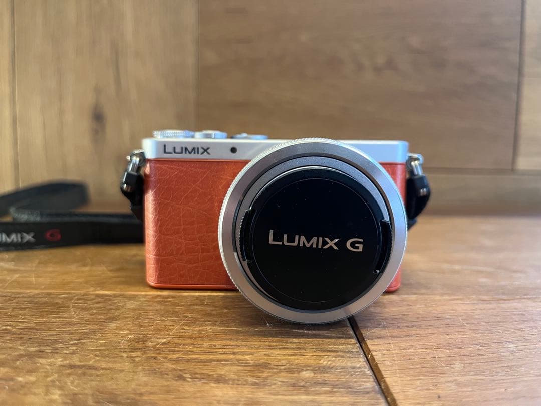 パナソニック LUMIX GM1 DMC-GM1 ミラーレス一眼レフカメラ