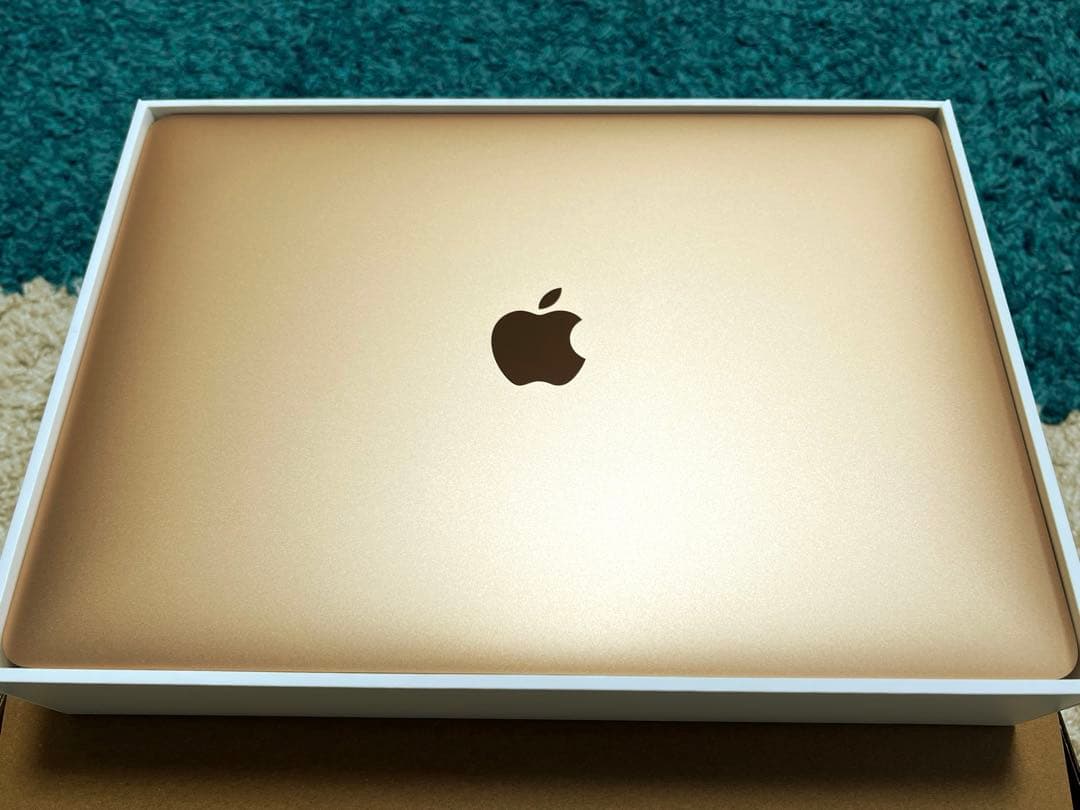 【限定お値下け】MacBook Air 13インチ M1 ゴールド1TB