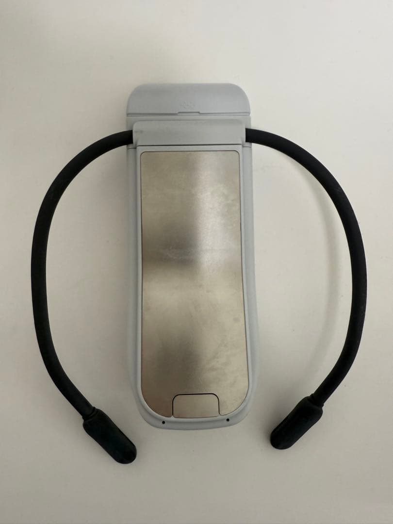 REON POCKET PRO ソニー　SONY レオンポケット　プロ