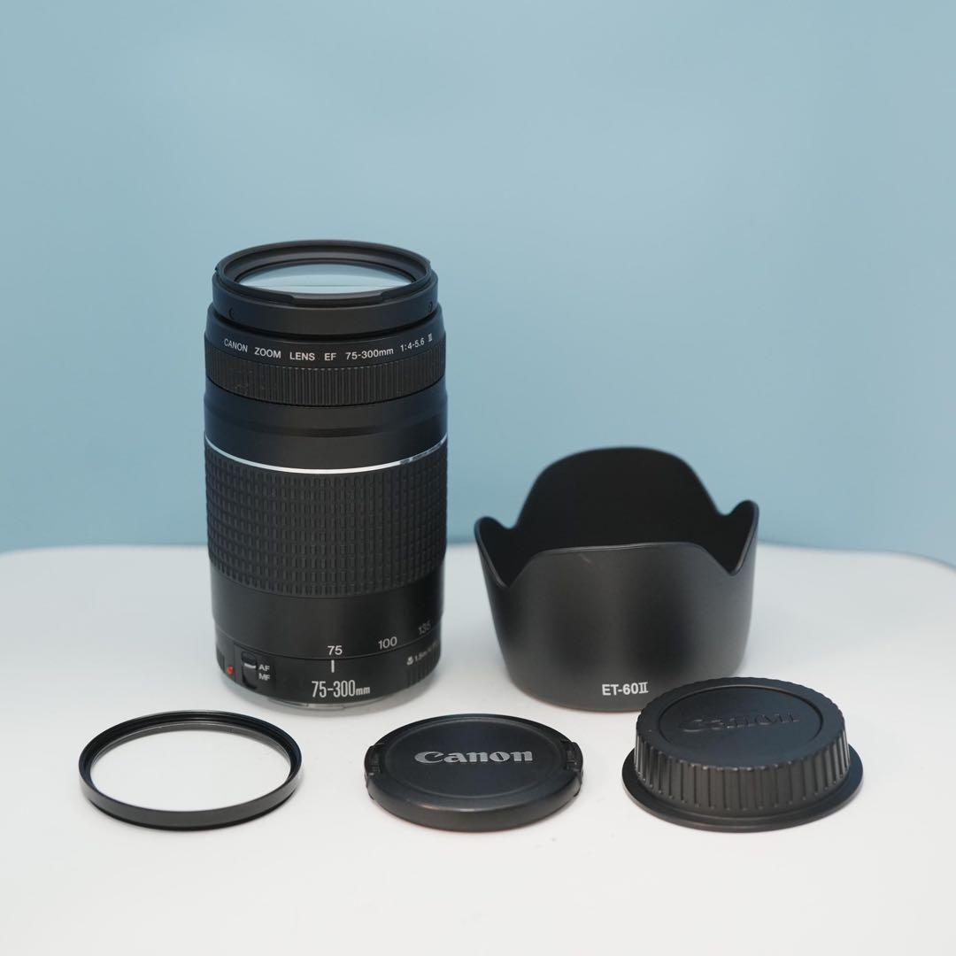 Canon純正 75-300mm 望遠レンズ 極美品 a4184