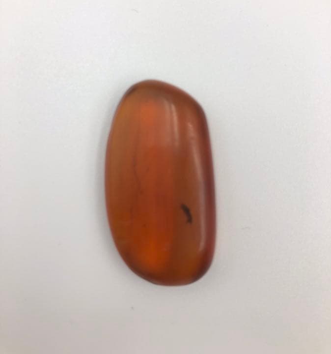 虫琥珀 虫入り アンバー  こはく 天然 ユニーク 天然石 虫入り