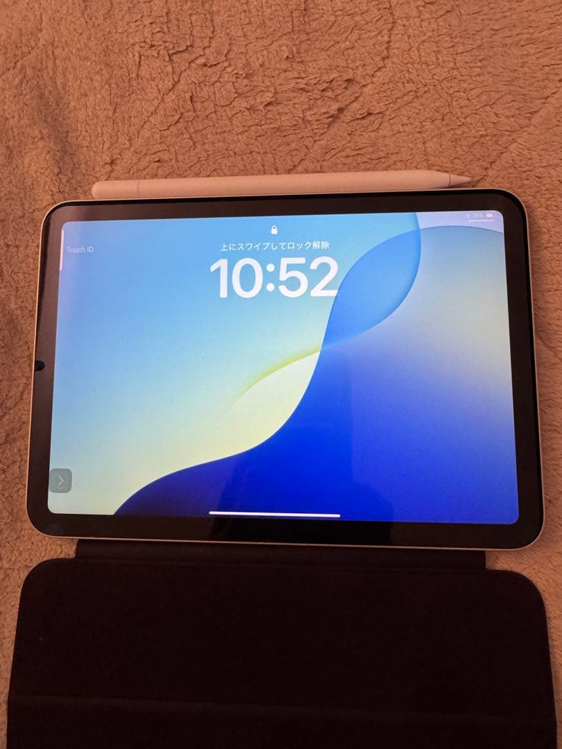 Apple iPad Gold Wi-Fi 第6世代256G 純正ケースつき