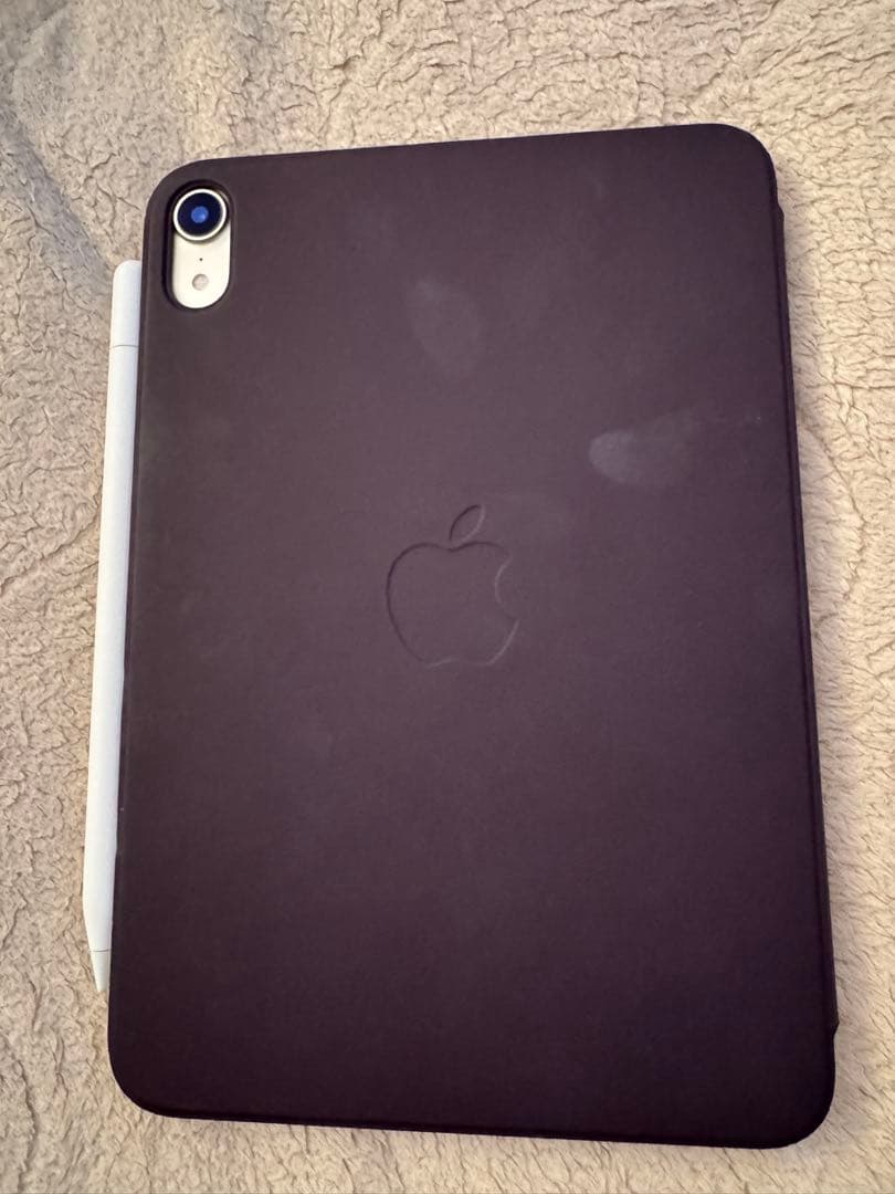 Apple iPad Gold Wi-Fi 第6世代256G 純正ケースつき