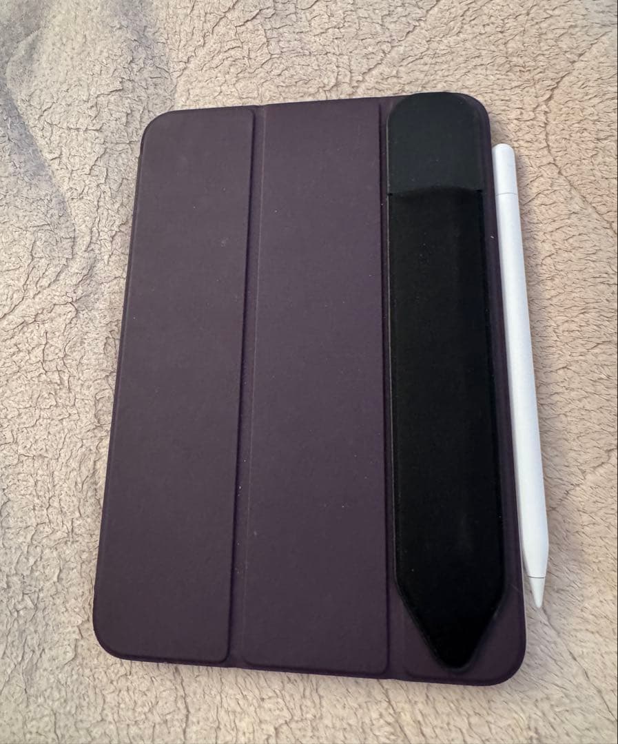 Apple iPad Gold Wi-Fi 第6世代256G 純正ケースつき