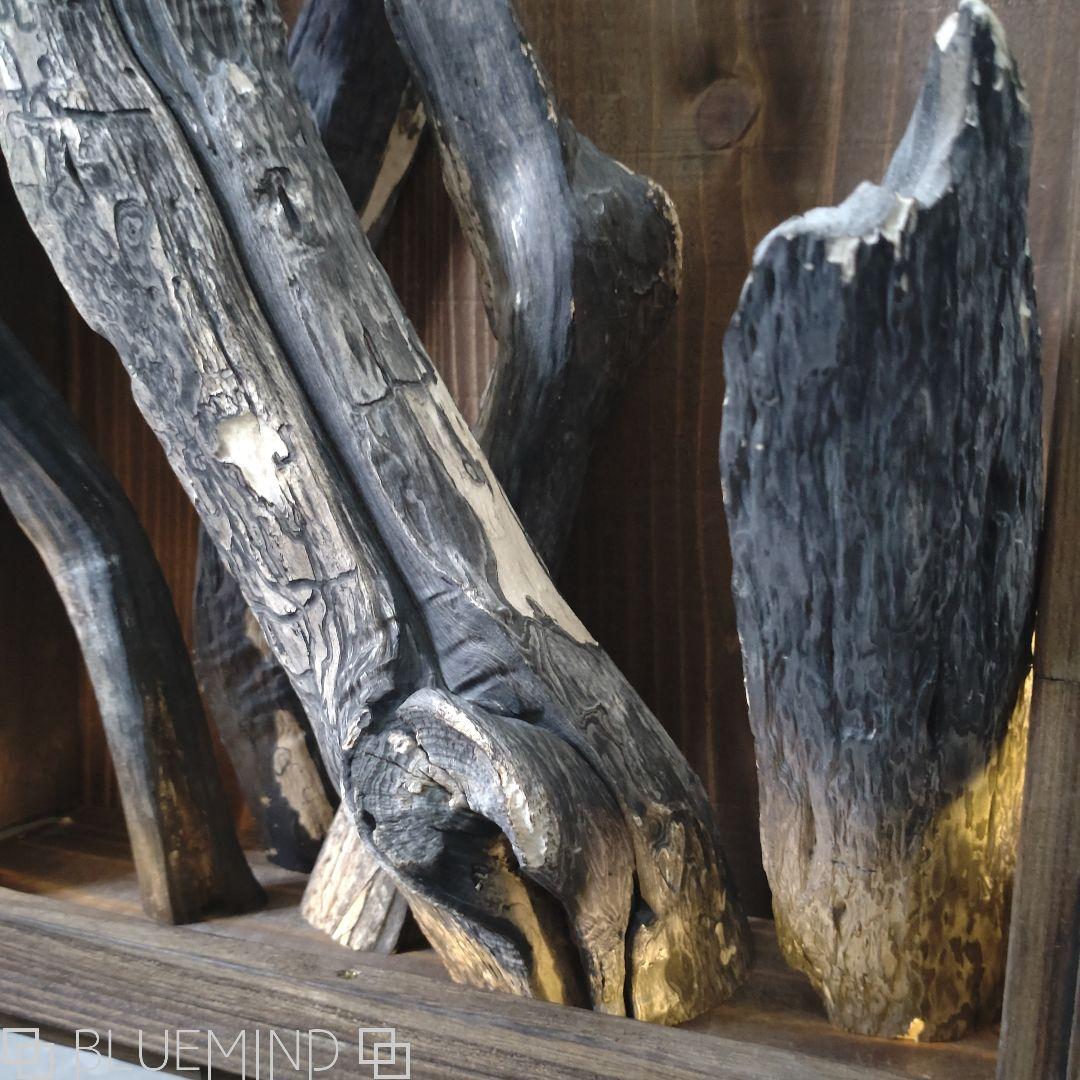 No.1229 黒流木の照明付きオブジェ 流木インテリア