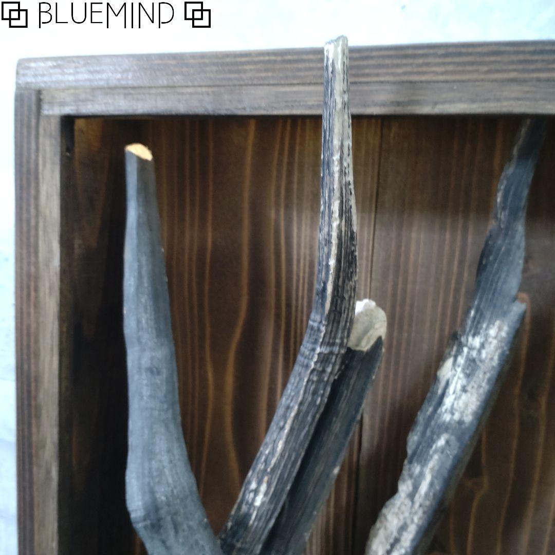 No.1229 黒流木の照明付きオブジェ 流木インテリア