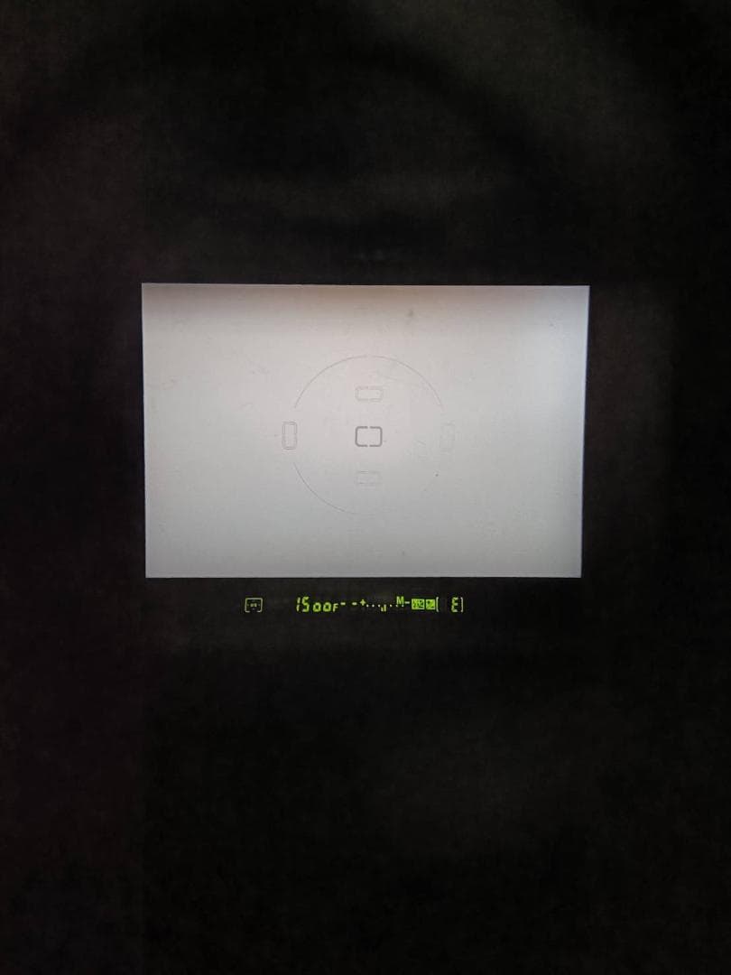 美品 NIKON ニコン F80 フィルムカメラ 加水分解なし M443