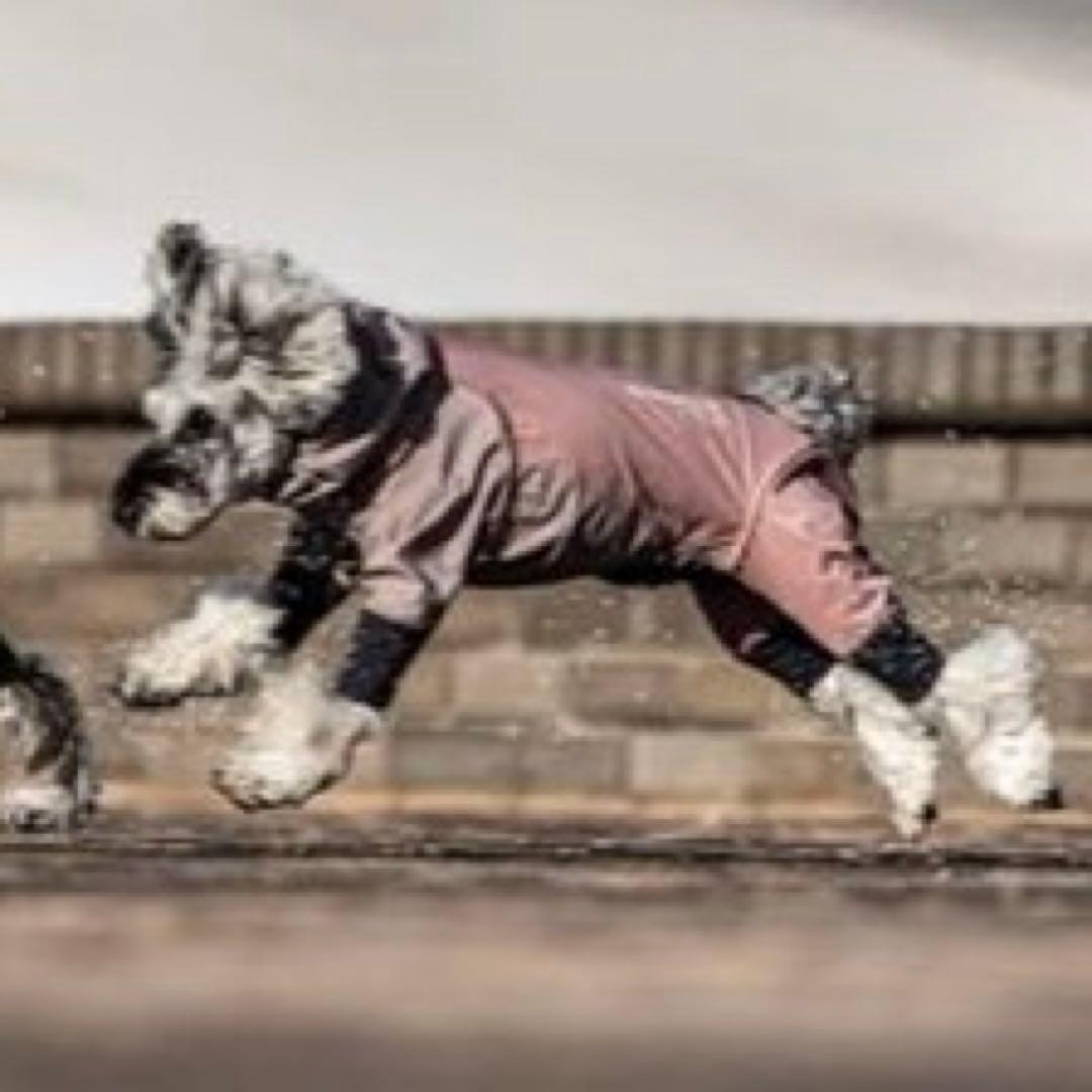 ALPHAICON アルファアイコン レインドッグガード S サイズ ピンク