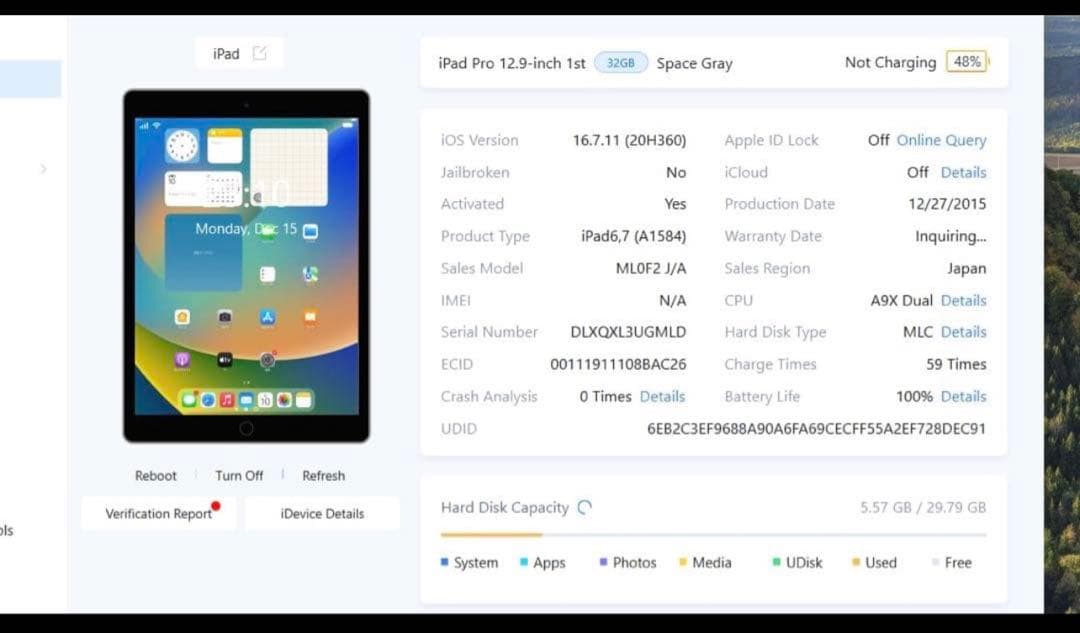 iPad Pro 12.9インチ（第1世代）