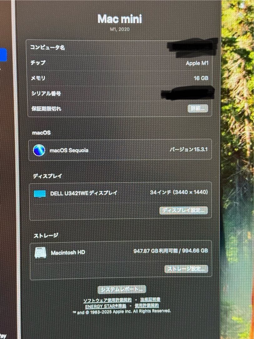 Apple Mac mini M1 16GB 1TB アップル